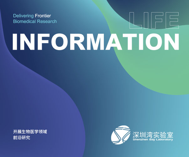 上海vi設計師工資水平如何？